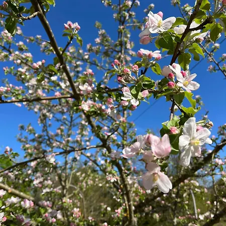 Pauline 3 Apartament Templin