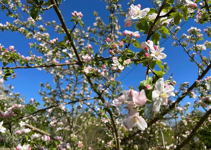 Pauline 3 Lägenhet Templin
