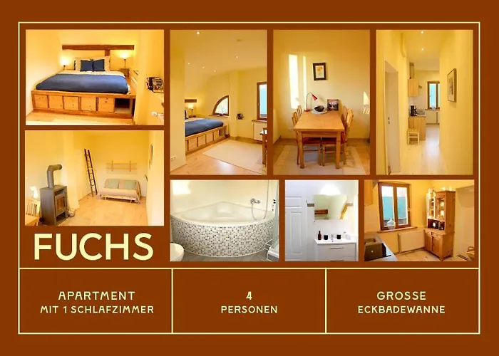 Pauline 3 * טמפלין